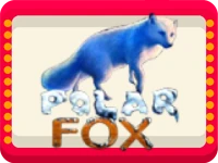 Polar Fox